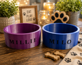Small Pet Bowl